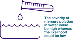 graphic image:

The severity of mercury polution 

in water could be high whereas 

the likilihood could be low.