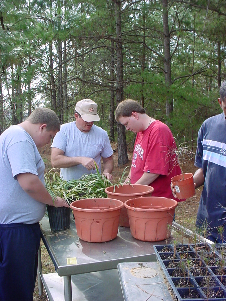 Potting