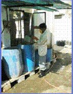 graphic: worker with chemicals