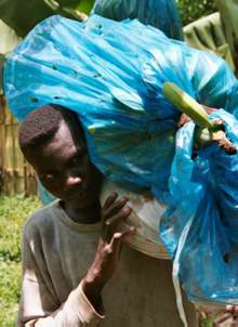 graphic: carrying bananas