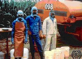 pesticide workers demonstrating safe handling